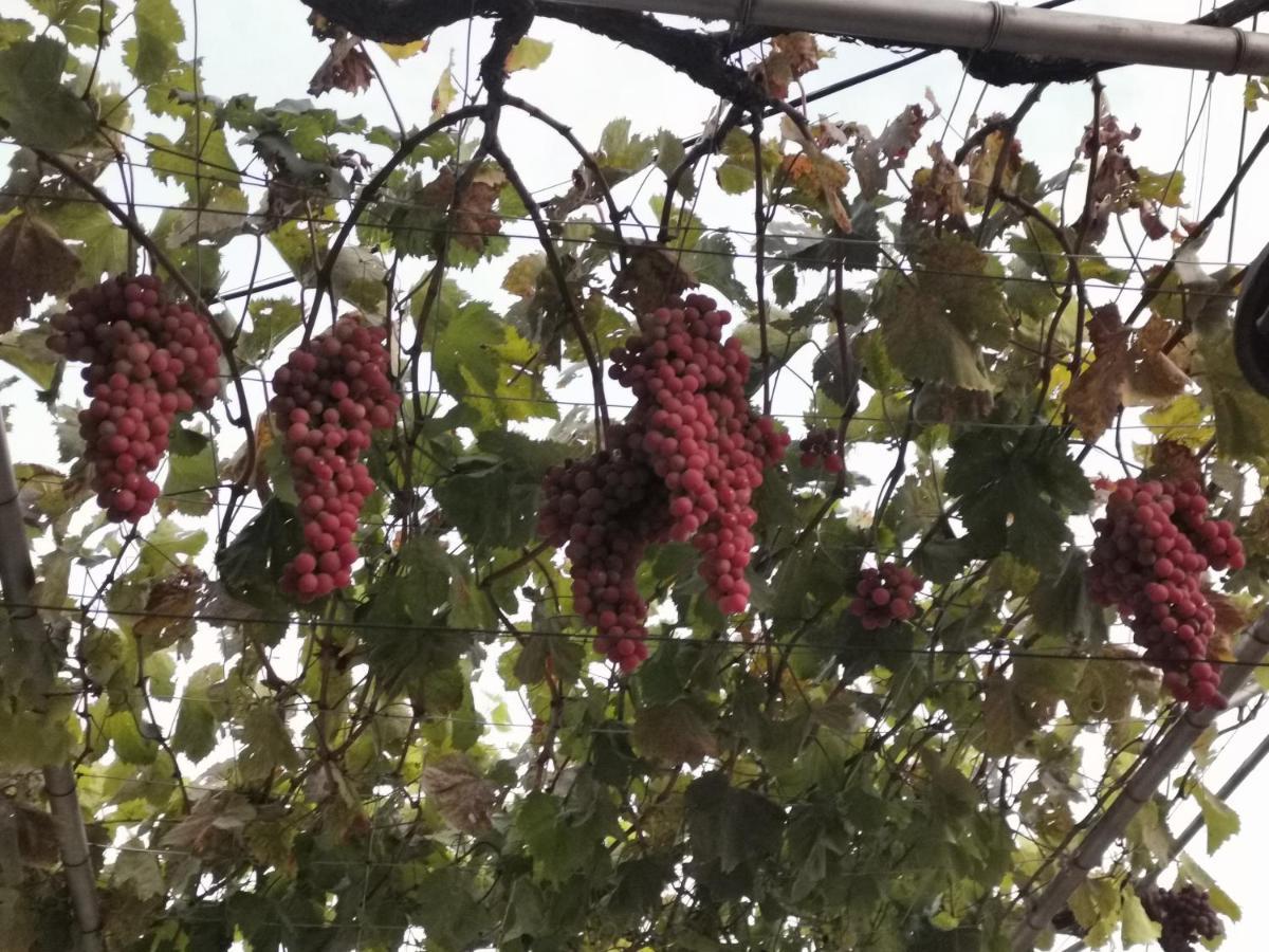 Възрожденски комплекс Чардакъ Сопот Екстериор снимка